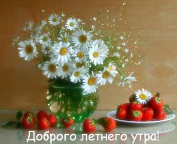 Открытки доброе летнее утро Открытка с добрым летним утром, пожелания доброго летнего утра Открытка картинка открытки картинки с пожеланиями доброго утра, доброго летнего утра, красивая открытка картинка с добрым летним утром, лето доброе утро скачать бесплатно
