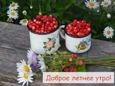 Открытки доброе летнее утро Открытка с добрым летним утром, пожелания доброго летнего утра Открытка картинка открытки картинки с пожеланиями доброго утра, доброго летнего утра, красивая открытка картинка с добрым летним утром, лето доброе утро скачать бесплатно
