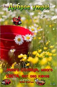 Открытки доброе летнее утро Открытка с добрым летним утром, пожелания доброго летнего утра Открытка картинка открытки картинки с пожеланиями доброго утра, доброго летнего утра, красивая открытка картинка с добрым летним утром, лето доброе утро скачать бесплатно