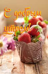 Открытки доброе летнее утро Открытка с добрым летним утром, пожелания доброго летнего утра Открытка картинка открытки картинки с пожеланиями доброго утра, доброго летнего утра, красивая открытка картинка с добрым летним утром, лето доброе утро скачать бесплатно