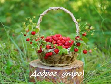 Открытки доброе летнее утро Открытка с добрым летним утром, пожелания доброго летнего утра Открытка картинка открытки картинки с пожеланиями доброго утра, доброго летнего утра, красивая открытка картинка с добрым летним утром, лето доброе утро скачать бесплатно