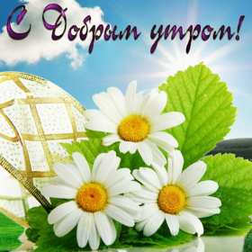 Открытки доброе летнее утро Открытка с добрым летним утром, пожелания доброго летнего утра Открытка картинка открытки картинки с пожеланиями доброго утра, доброго летнего утра, красивая открытка картинка с добрым летним утром, лето доброе утро скачать бесплатно