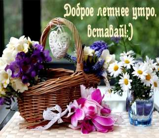 Открытки доброе летнее утро Открытка с добрым летним утром, пожелания доброго летнего утра Открытка картинка открытки картинки с пожеланиями доброго утра, доброго летнего утра, красивая открытка картинка с добрым летним утром, лето доброе утро скачать бесплатно