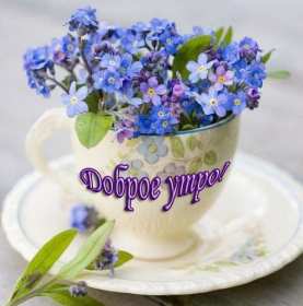Открытки доброе летнее утро Открытка с добрым летним утром, пожелания доброго летнего утра Открытка картинка открытки картинки с пожеланиями доброго утра, доброго летнего утра, красивая открытка картинка с добрым летним утром, лето доброе утро скачать бесплатно