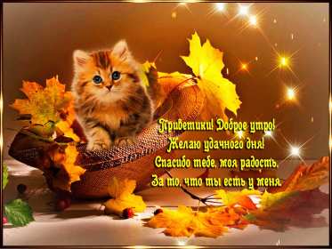 Открытки доброе осеннее утро Открытка с добрым осенним утром, доброе утро осени, пожелания. Открытка картинка открытки картинка доброе осеннее утро, с добрым осенним утром, доброе утро осени открытка картинка доброго осеннего утра, осень доброе утро скачать бесплатно