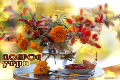 Открытки доброе осеннее утро Открытка с добрым осенним утром, доброе утро осени, пожелания. Открытка картинка открытки картинка доброе осеннее утро, с добрым осенним утром, доброе утро осени открытка картинка доброго осеннего утра, осень доброе утро скачать бесплатно