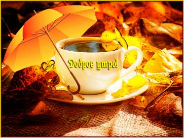 Открытки доброе осеннее утро Открытка с добрым осенним утром, доброе утро осени, пожелания. Открытка картинка открытки картинка доброе осеннее утро, с добрым осенним утром, доброе утро осени открытка картинка доброго осеннего утра, осень доброе утро скачать бесплатно