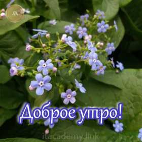 Открытки с добрым утром! Открытка с добрым утром, доброе утро, красивая картинка доброе утро Открытка картинка доброе утро, открытки картинки с добрым утром, доброго утра, красивая открытка доброе утро с добрым утром, яркая картинка доброе утро скачать бесплатно