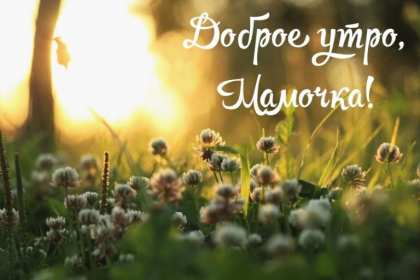 Открытки с добрым утром маме Открытка с добрым утром мама, пожелания доброго утра маме, мамочке Открытки открытка картинки картинка с добрым утром мама, мамочка, доброго утра мама, открытки картинки для мамы с добрым утром, мама доброе утро открытка картинка, скачать.