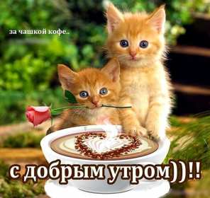 Открытки с добрым утром маме Открытка с добрым утром мама, пожелания доброго утра маме, мамочке Открытки открытка картинки картинка с добрым утром мама, мамочка, доброго утра мама, открытки картинки для мамы с добрым утром, мама доброе утро открытка картинка, скачать.