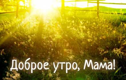 Открытки с добрым утром маме Открытка с добрым утром мама, пожелания доброго утра маме, мамочке Открытки открытка картинки картинка с добрым утром мама, мамочка, доброго утра мама, открытки картинки для мамы с добрым утром, мама доброе утро открытка картинка, скачать.
