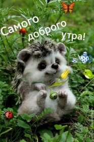 Доброе утро прикольные Открытки с добрым утром, яркие картинки прикольные доброго утра Картинки, открытки красивые прикольные с добрым утром, доброго утра прикол, пожелания доброго утра юмор, прикольные открытки, картинки доброе утро, доброго утра, утречка