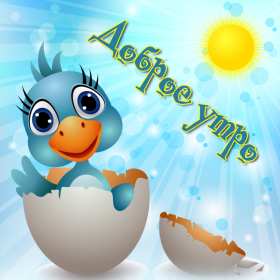 Доброе утро прикольные Открытки с добрым утром, яркие картинки прикольные доброго утра Картинки, открытки красивые прикольные с добрым утром, доброго утра прикол, пожелания доброго утра юмор, прикольные открытки, картинки доброе утро, доброго утра, утречка