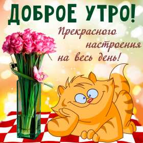 Доброе утро прикольные Открытки с добрым утром, яркие картинки прикольные доброго утра Картинки, открытки красивые прикольные с добрым утром, доброго утра прикол, пожелания доброго утра юмор, прикольные открытки, картинки доброе утро, доброго утра, утречка