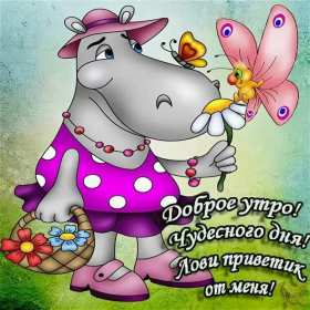 Доброе утро прикольные Открытки с добрым утром, яркие картинки прикольные доброго утра Картинки, открытки красивые прикольные с добрым утром, доброго утра прикол, пожелания доброго утра юмор, прикольные открытки, картинки доброе утро, доброго утра, утречка