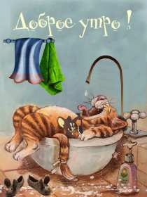 Доброе утро прикольные Открытки с добрым утром, яркие картинки прикольные доброго утра Картинки, открытки красивые прикольные с добрым утром, доброго утра прикол, пожелания доброго утра юмор, прикольные открытки, картинки доброе утро, доброго утра, утречка