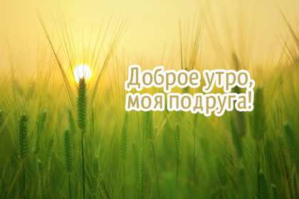 Открытки с добрым утром подруга! Открытки с пожеланиями доброго утра подруге, доброе утро подруга Открытки картинки, открытка картинка с добрым утром подруга, подруге, открытки доброе утро дорогая, любимая подруга, картинка открытка с пожеланием доброго утра подруге, скачать.