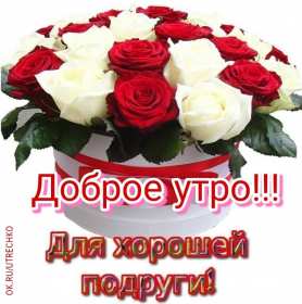 Открытки с добрым утром подруга! Открытки с пожеланиями доброго утра подруге, доброе утро подруга Открытки картинки, открытка картинка с добрым утром подруга, подруге, открытки доброе утро дорогая, любимая подруга, картинка открытка с пожеланием доброго утра подруге, скачать.
