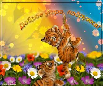 Открытки с добрым утром подруга! Открытки с пожеланиями доброго утра подруге, доброе утро подруга Открытки картинки, открытка картинка с добрым утром подруга, подруге, открытки доброе утро дорогая, любимая подруга, картинка открытка с пожеланием доброго утра подруге, скачать.