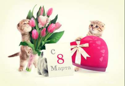 Открытки 8 марта международный женский день Открытка международный женский день 8 марта, поздравления с 8 марта Картинки открытки на 8 марта, с 8 марта, открытка картинка с международным женским днём 8 марта, красивая открытка на 8 марта, с 8 марта, поздравления с праздником 8 марта скачать бесплатно