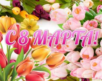 Открытки 8 марта международный женский день Открытка международный женский день 8 марта, поздравления с 8 марта Картинки открытки на 8 марта, с 8 марта, открытка картинка с международным женским днём 8 марта, красивая открытка на 8 марта, с 8 марта, поздравления с праздником 8 марта скачать бесплатно