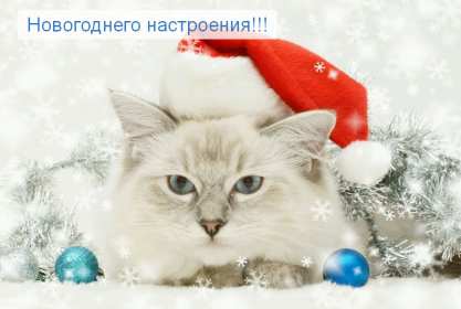 Открытки новогоднего настроения Открытка новогоднего настроения, праздничного новогоднего настроения Открытка картинка открытки картинки новогоднего настроения, предпраздничного настроения, открытка картинка новогоднее настроение, предновогоднее настроение скачать бесплатно