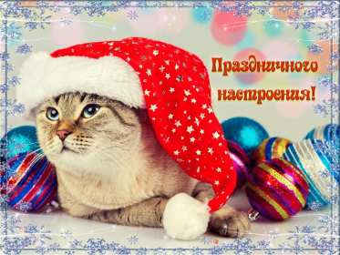 Открытки новогоднего настроения Открытка новогоднего настроения, праздничного новогоднего настроения Открытка картинка открытки картинки новогоднего настроения, предпраздничного настроения, открытка картинка новогоднее настроение, предновогоднее настроение скачать бесплатно