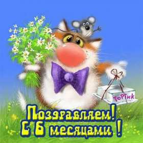 Открытки 6 месяцев ребёнку Открытка 6 месяцев малышу поздравления с шестью месяцами . Открытка картинка открытки картинки с поздравлениями 6 месяцев ребёнку малышу, полгодика поздравления, открытка малышу исполнилось полгода, полгодика, 6 месяцем .