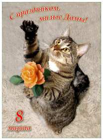 Открытки прикольные на 8 марта Открытка на 8 марта прикольная, прикольные поздравления с 8 марта Открытка картинка прикольная с 8 марта, открытки картинки прикольные на 8 марта, прикольная открытка на международный женский день 8 марта скачать бесплатно .