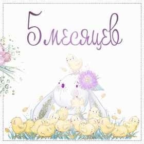 Открытки 5 месяцев жизни Открытка поздравления пять месяцев малышу, 5 месяцев ребёнку Открытка картинка открытки картинки 5 месяцев малышу, день рождения 5 месяцев, поздравления с пятью месяцами, картинка открытка малышу исполнилось пять месяцев скачать бесплатно