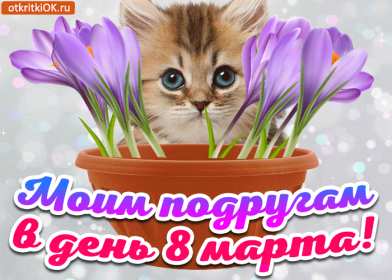 Открытки с 8 марта подруге Открытка гиф с 8 марта подруге, поздравления с праздником 8 марта подруге, котёнок Открытка картинка открытки картинки гиф для подруги на 8 марта, с 8 марта подруга, подружка, картинка открытка с праздником 8 марта подруге, поздравить подругу с 8 марта