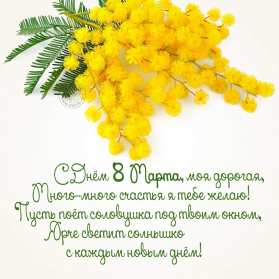 Открытки на 8 марта мимоза Открытка с праздником 8 марта международный женский день, мимоза Открытка картинка открытки картинки с 8 марта с мимозой, жёлтая мимоза, символ праздника 8 марта, открытка картинка на 8 марта мимоза, с 8 марта картинка с мимозой