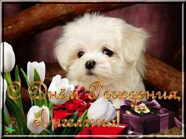 Открытка! Открытка с днём рождения Ангелина, поздравления для Ангелины