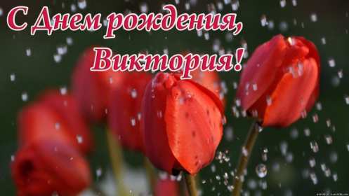 Открытка! Открытка с днём рождения Виктория, Вика поздравления для Виктории
