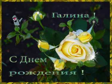 Галина с днём рождения ! Открытка с днём рождения Галина, поздравления для Гали с днём рождения Открытка картинка Галя, Галина с днём рождения, поздравления Галине на день рождения, красивые открытки картинки с днём рождения Галя, Галина скачать бесплатно .