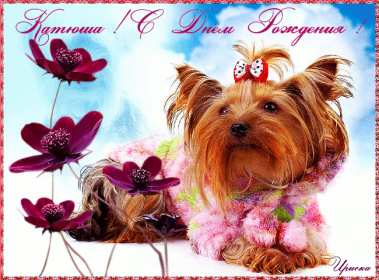 Открытка! Открытка с днём рождения Катя, поздравления Кате на день рождения