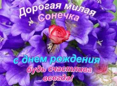Открытка! Открытка с днём рождения София, поздравления для Софии на день рождения