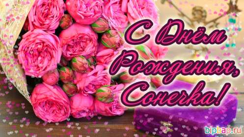 София с днём рождения! Открытка с днём рождения София, поздравления для Софии на день рождения Открытка картинка с днём рождения София, Соня, открытки картинки Соня, София с днём рождения, поздравления для Софии на день рождения открытки скачать бесплатно