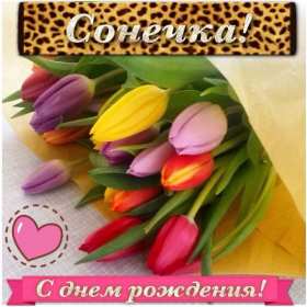 София с днём рождения! Открытка с днём рождения София, поздравления для Софии на день рождения Открытка картинка с днём рождения София, Соня, открытки картинки Соня, София с днём рождения, поздравления для Софии на день рождения открытки скачать бесплатно