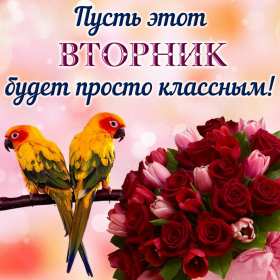 Открытка! Открытка картинка вторник, пожелания хорошего вторника, с вторником