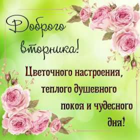 Открытки вторник Открытка картинка вторник, пожелания хорошего вторника, с вторником Картинки открытки с вторником, вторник, хорошего вторника, удачного вторника, красивые, яркие открытки с вторником, вторник, хорошего вторника открытки скачать бесплатно