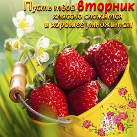 Открытки вторник Открытка картинка вторник, пожелания хорошего вторника, с вторником Картинки открытки с вторником, вторник, хорошего вторника, удачного вторника, красивые, яркие открытки с вторником, вторник, хорошего вторника открытки скачать бесплатно