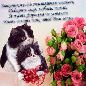 Открытки вторник Открытка картинка вторник, пожелания хорошего вторника, с вторником, котики Картинки открытки с вторником, вторник, хорошего вторника, удачного вторника, красивые, яркие открытки с вторником, вторник, хорошего вторника открытки скачать бесплатно