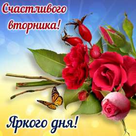 Открытки вторник Открытка картинка вторник, пожелания хорошего вторника, с вторником Картинки открытки с вторником, вторник, хорошего вторника, удачного вторника, красивые, яркие открытки с вторником, вторник, хорошего вторника открытки скачать бесплатно