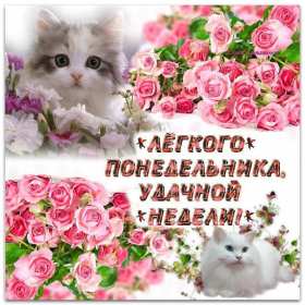Открытка! Открытка картинка с понедельником, с началом недели, понедельник