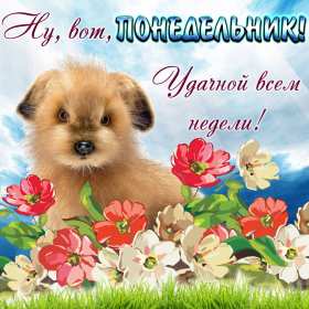 Открытки понедельник Открытка картинка с понедельником, с началом недели, понедельник Картинки открытки с началом недели, с понедельником, понедельник, картинка открытка понедельник, с понедельником, с началом недели, открытка с понедельником скачать бесплатно