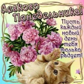 Открытки понедельник Открытка картинка с понедельником, с началом недели, понедельник Картинки открытки с началом недели, с понедельником, понедельник, картинка открытка понедельник, с понедельником, с началом недели, открытка с понедельником скачать бесплатно