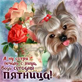 Открытки пятница Открытка пятница, с пятницей, пожелания в пятницу, хорошей пятницы Открытка картинка с пятницей, пятница, пожелания в пятницу, открытки картинки с пятницей, пятница, пожелания в пятницу, хорошей, удачной пятницы открытки скачать бесплатно