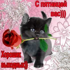 Открытки пятница Открытка пятница, с пятницей, пожелания в пятницу, хорошей пятницы Открытка картинка с пятницей, пятница, пожелания в пятницу, открытки картинки с пятницей, пятница, пожелания в пятницу, хорошей, удачной пятницы открытки скачать бесплатно