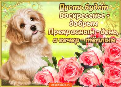 Открытки воскресенье Открытка с воскресеньем, воскресенье, хорошего воскресенья Открытка картинка пожелания в воскресенье, с воскресеньем, доброго, хорошего воскресенья, красивые открытки картинки с воскресеньем, открытка с воскресеньем скачать бесплатно